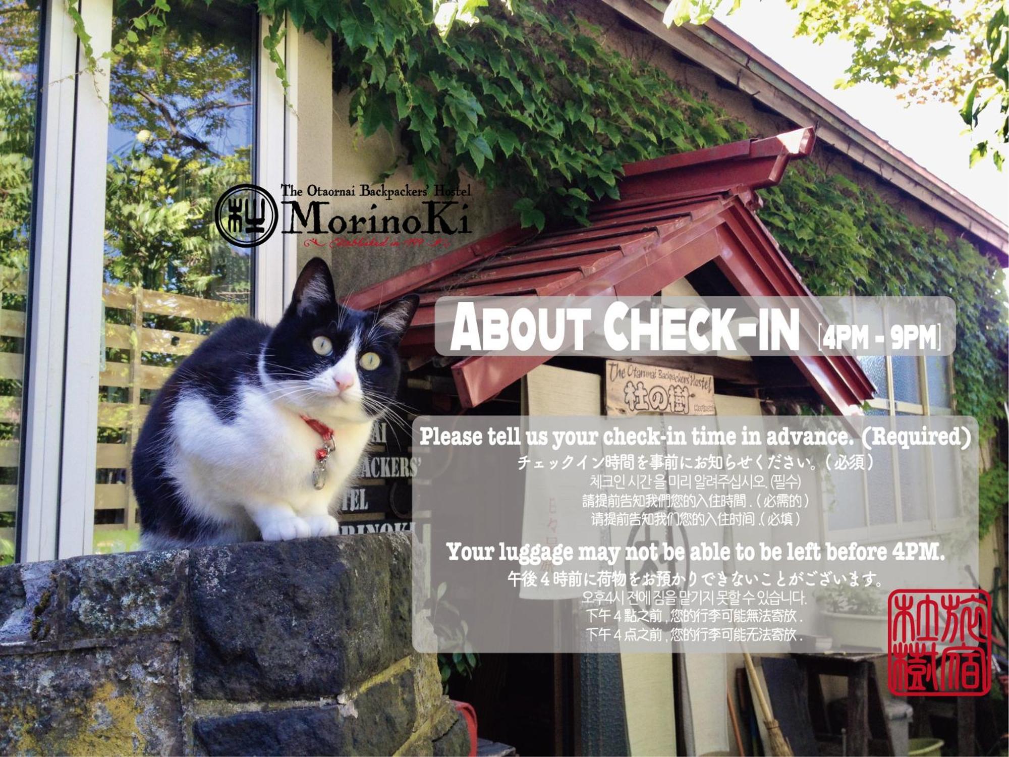 The Otaornai Backpacker'S Hostel Morinoki Otaru Esterno foto