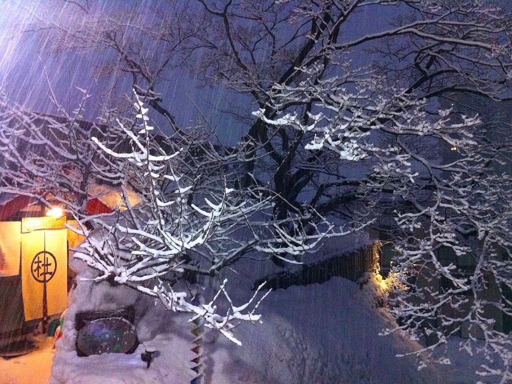 The Otaornai Backpacker'S Hostel Morinoki Otaru Esterno foto