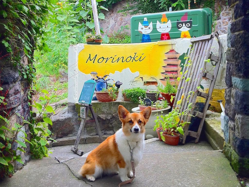 The Otaornai Backpacker'S Hostel Morinoki Otaru Esterno foto